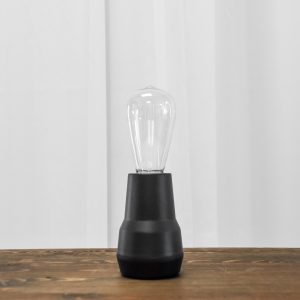 Large Edison Light Bulb